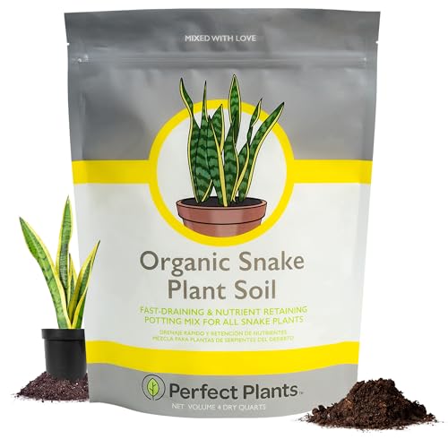 Best Potting Soil for Snake Plants