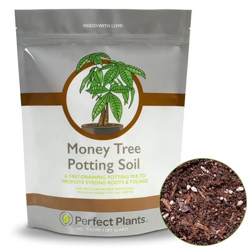Best Potting Soil for Trees