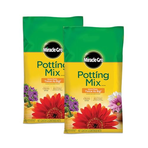 Best Potting Soil Mix