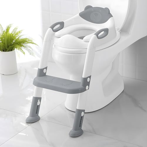Best Potty Training Seat With Step Stool