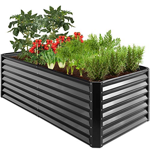 Best Raised Garden Beds for Tomatoes