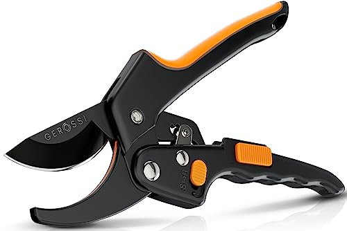 Best Ratchet Pruners