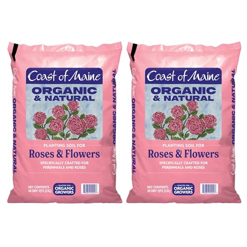 Best Rose Potting Soil