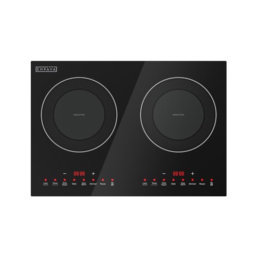Best Rv Induction Cooktop