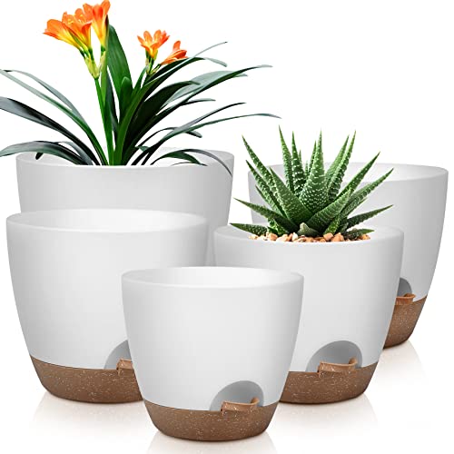 Best Self Watering Pots