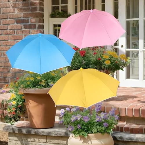Best Shade Pot Plants