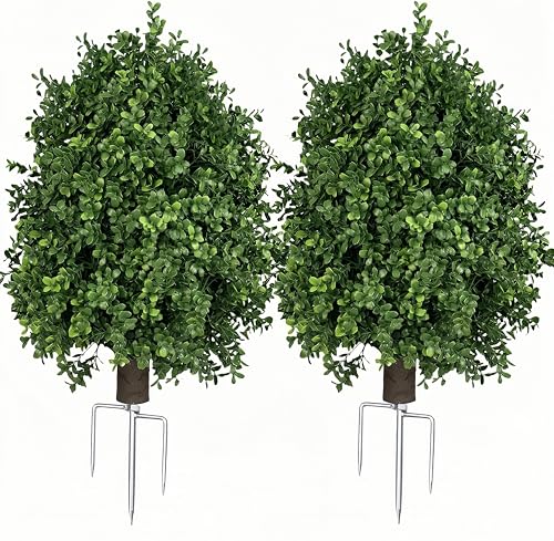 Best Shrubs for Pots