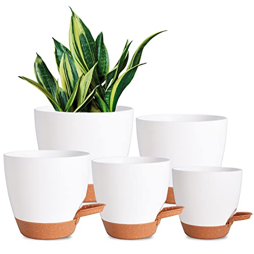 Best Size Pot for Herbs