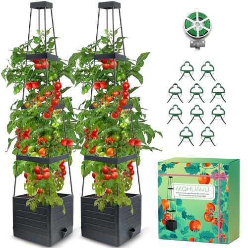 Best Size Pot for Tomato Plant