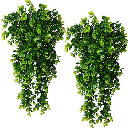 Best Spiller Plants for Pots