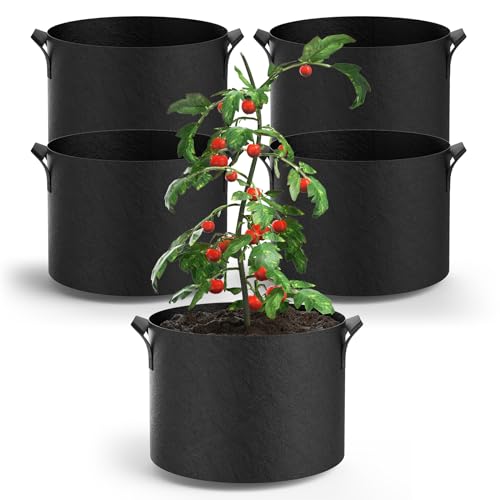 Best Temp to Grow Pot