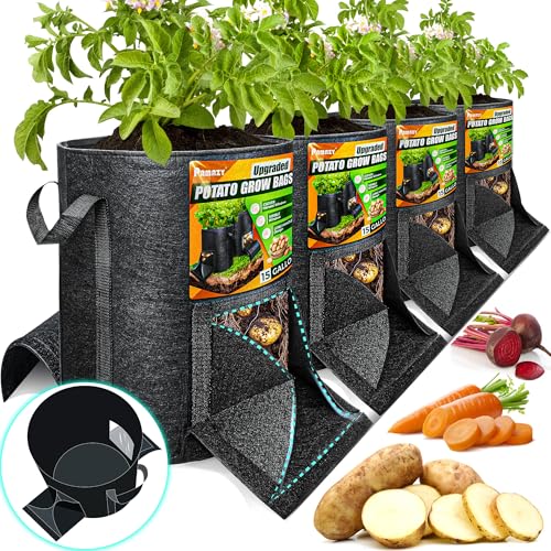 Best Time to Harvest Pot