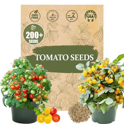 Best Tomato Varieties for Pots
