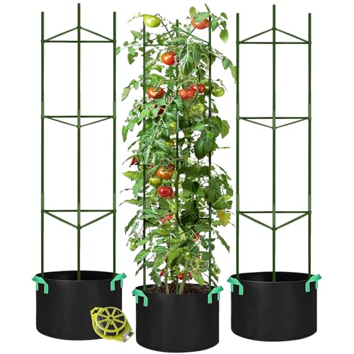 Best Tomatoes for Pots