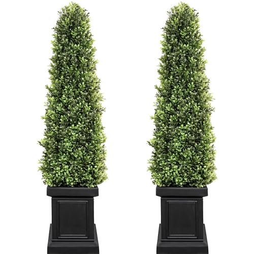 Best Topiary Plants for Pots
