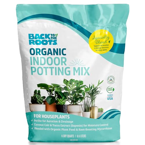 Best Type of Potting Soil for Indoor Plants