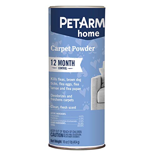 Best Vacuum for Fleas