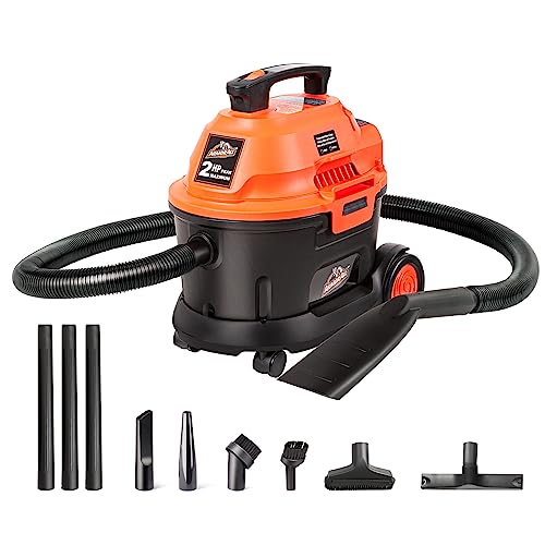 Best Vacuums for Car Detailing