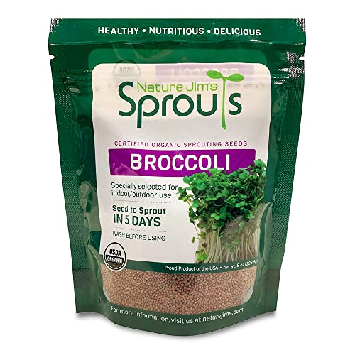 Best Way to Sprout Pot Seeds