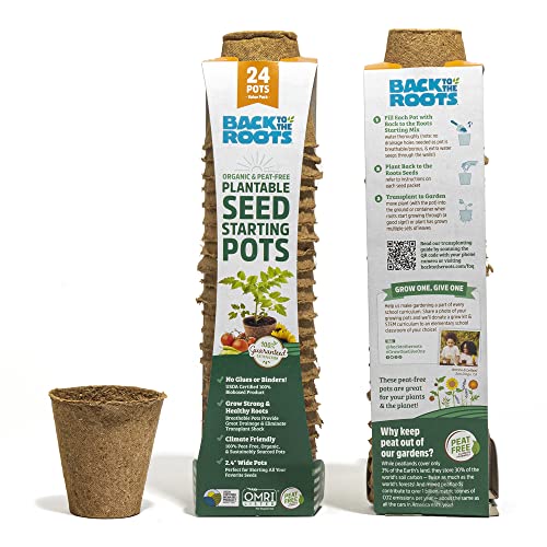 Best Way to Start Pot Seeds
