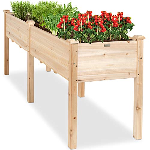 Best Wood to Use for Raised Garden Bed
