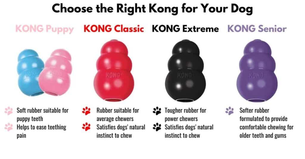 Can a Kong Go in the Dishwasher