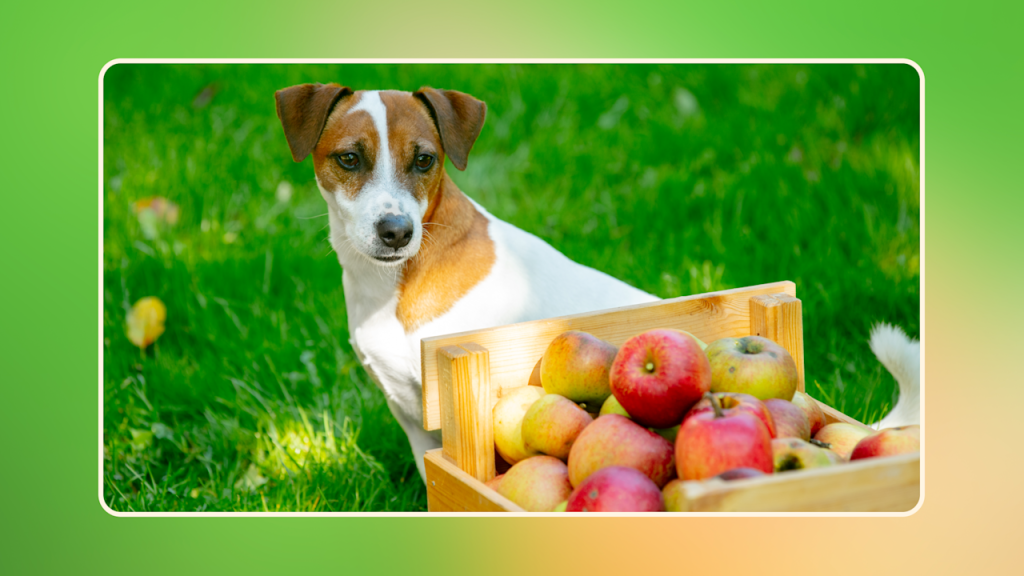 Can Dogs Eat Freeze Dried Apples