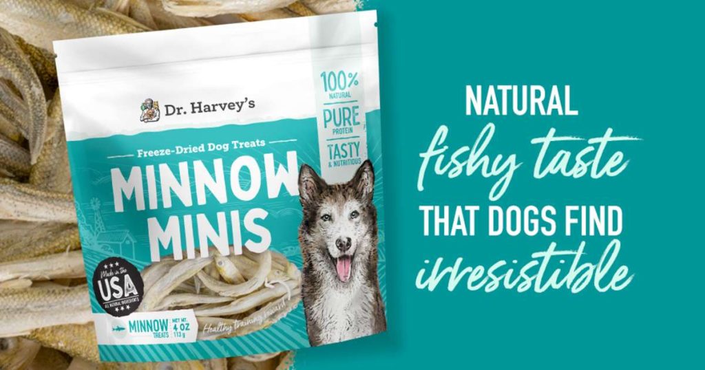 Can Dogs Eat Freeze Dried Minnows