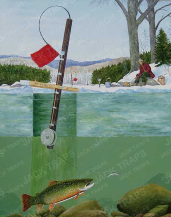Can Fish See Fishing Line