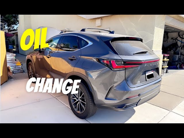 Can I Get My Lexus Oil Change At Toyota 2
