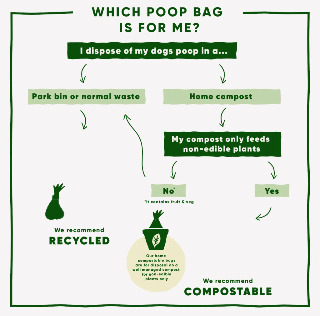 Can I Put Dog Poop in My Compost Bin