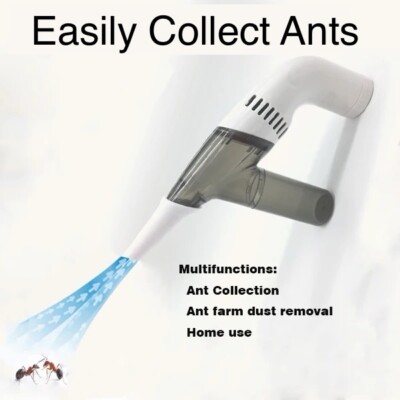 Can I Vacuum Ants