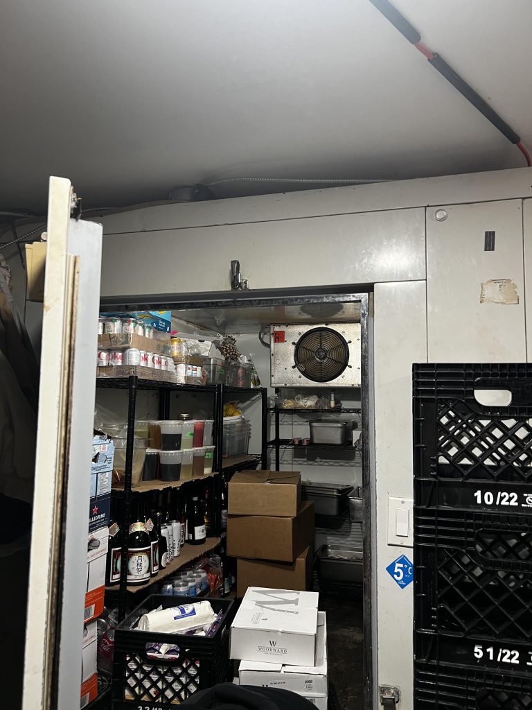 Can Mice Get Inside Refrigerator