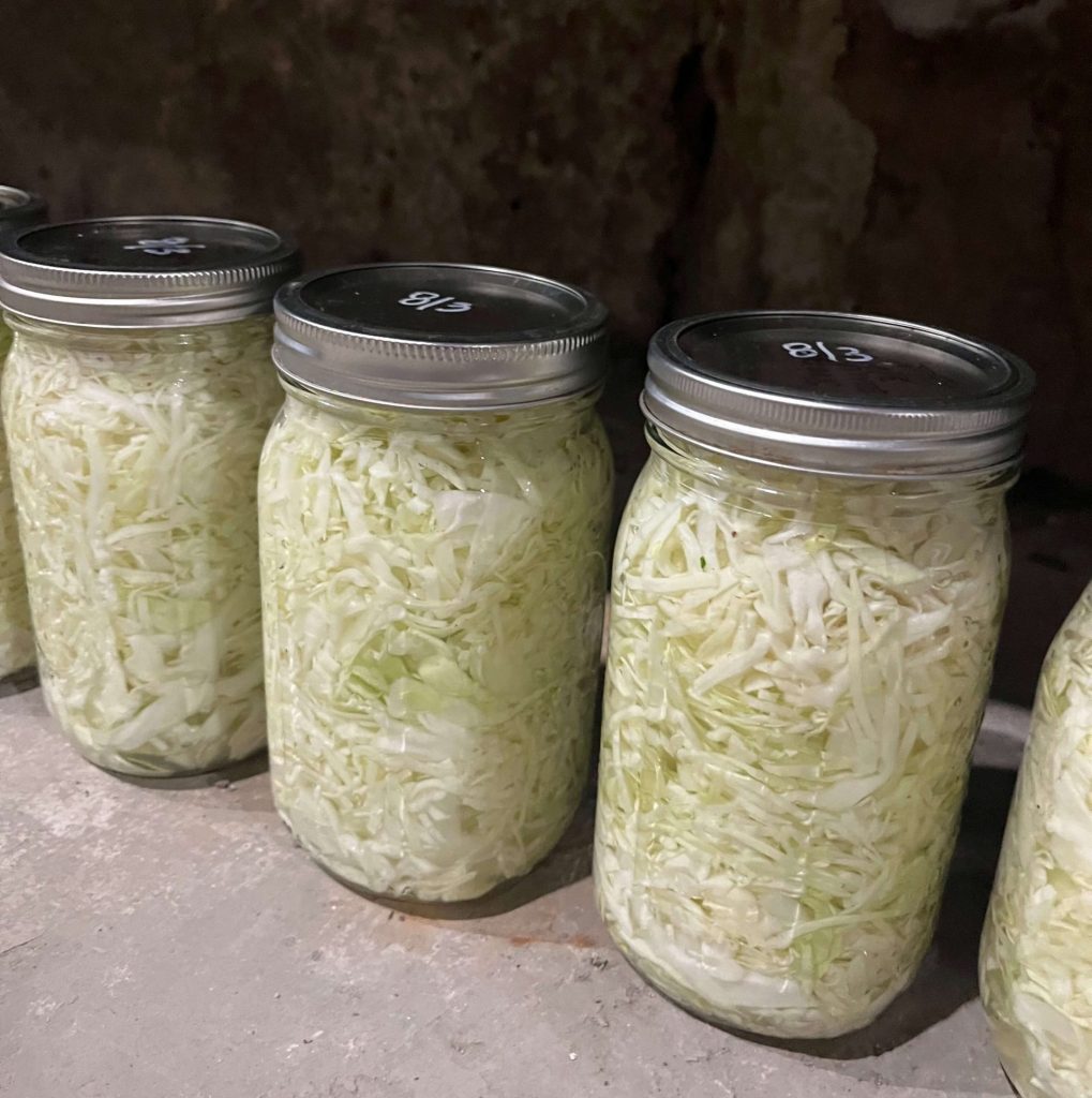 Can You Freeze Canned Sauerkraut