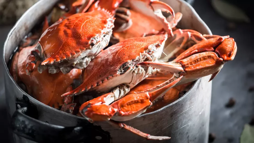 Can You Freeze Cooked Crabs in the Shell