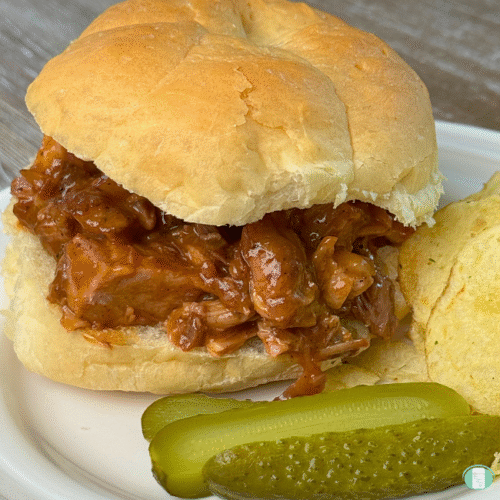 Can You Freeze Pulled Pork With Sauce