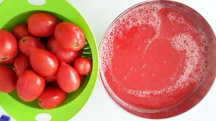Can You Freeze Pureed Tomatoes