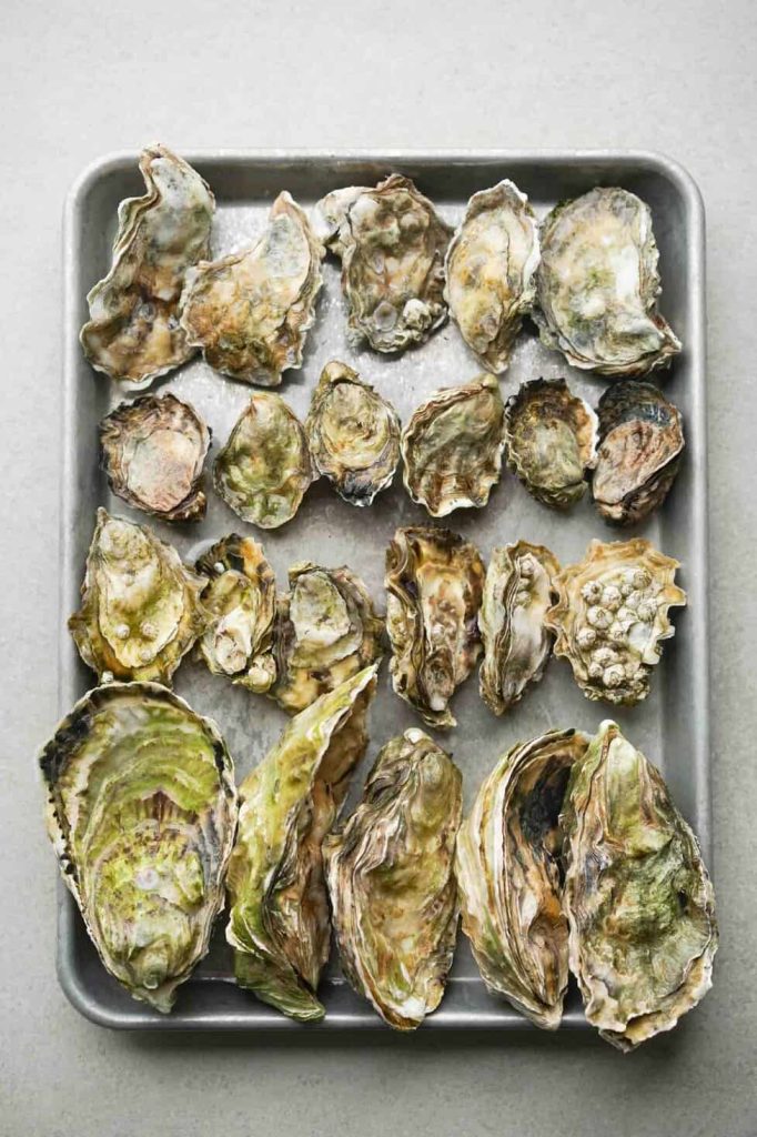 Can You Freeze Shucked Oysters