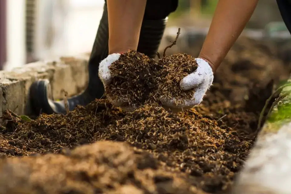 Can You Put Coffee Grounds in a Compost Bin