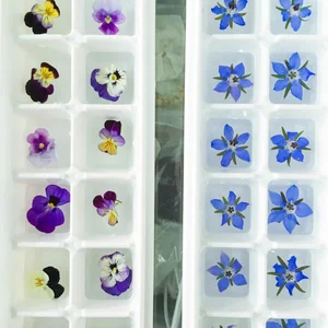 Can You Put Flowers in the Freezer
