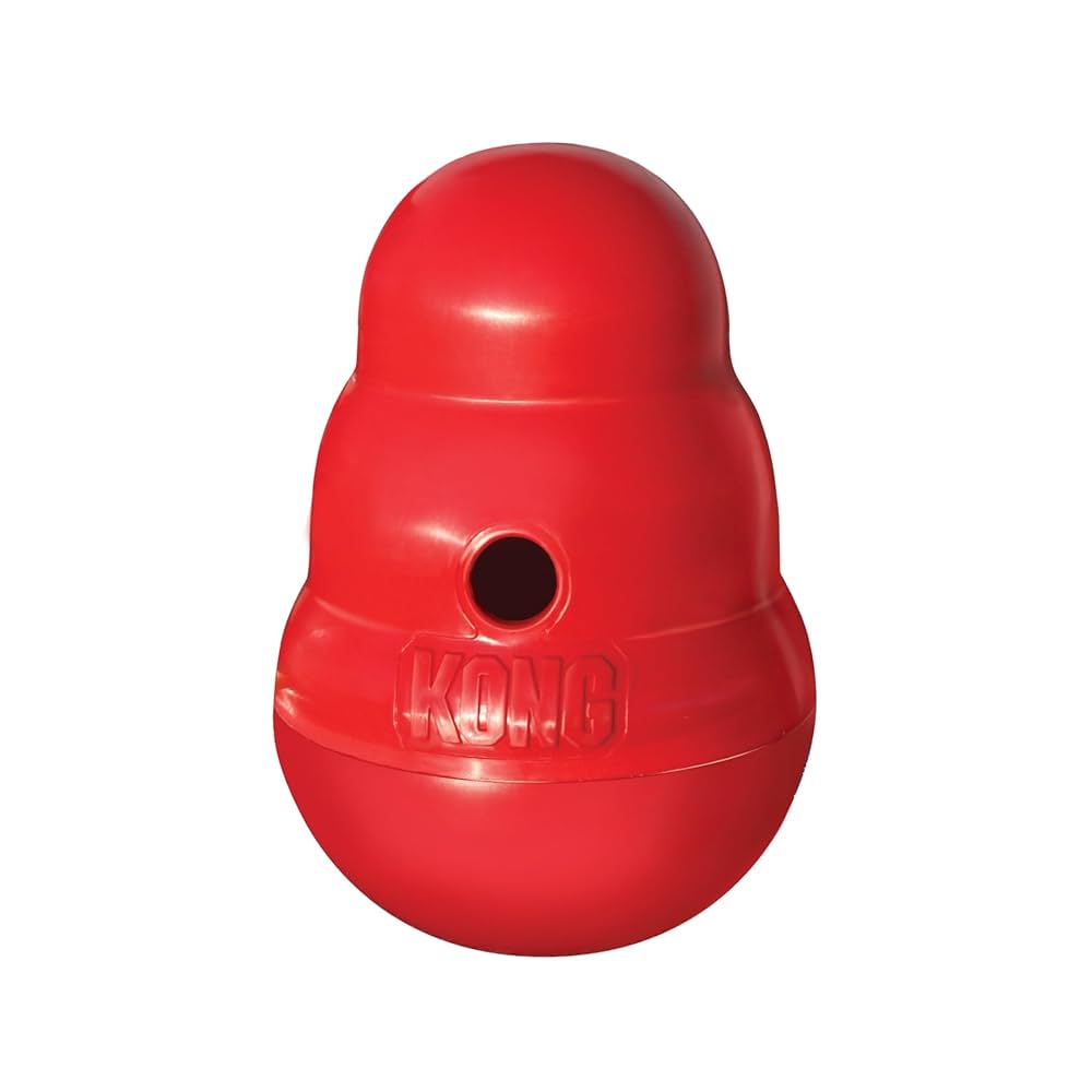 Can You Put Kong in Dishwasher