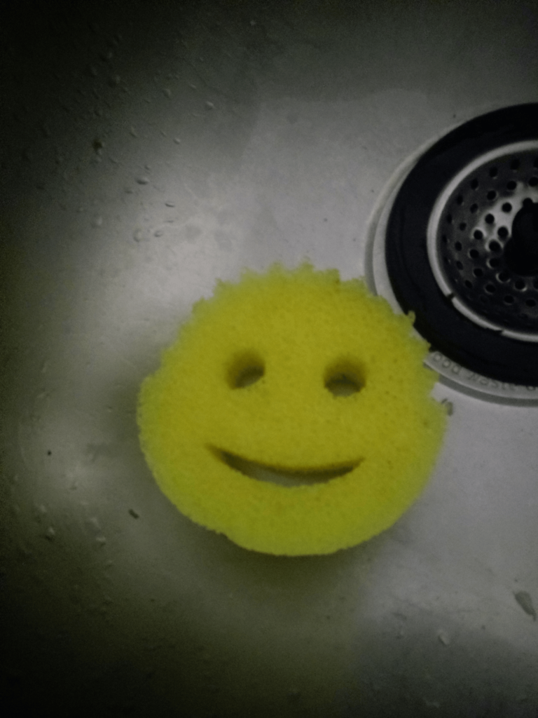 Can You Put Scrub Daddy in Dishwasher