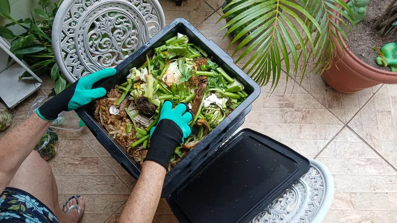 Can You Put Tea Bags in a Compost Bin