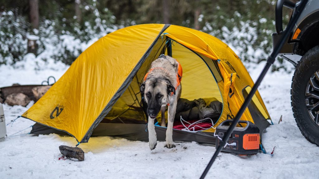 Can You Use a Propane Heater in a Tent