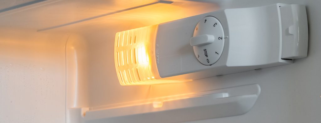 Can You Use a Regular Light Bulb in the Refrigerator