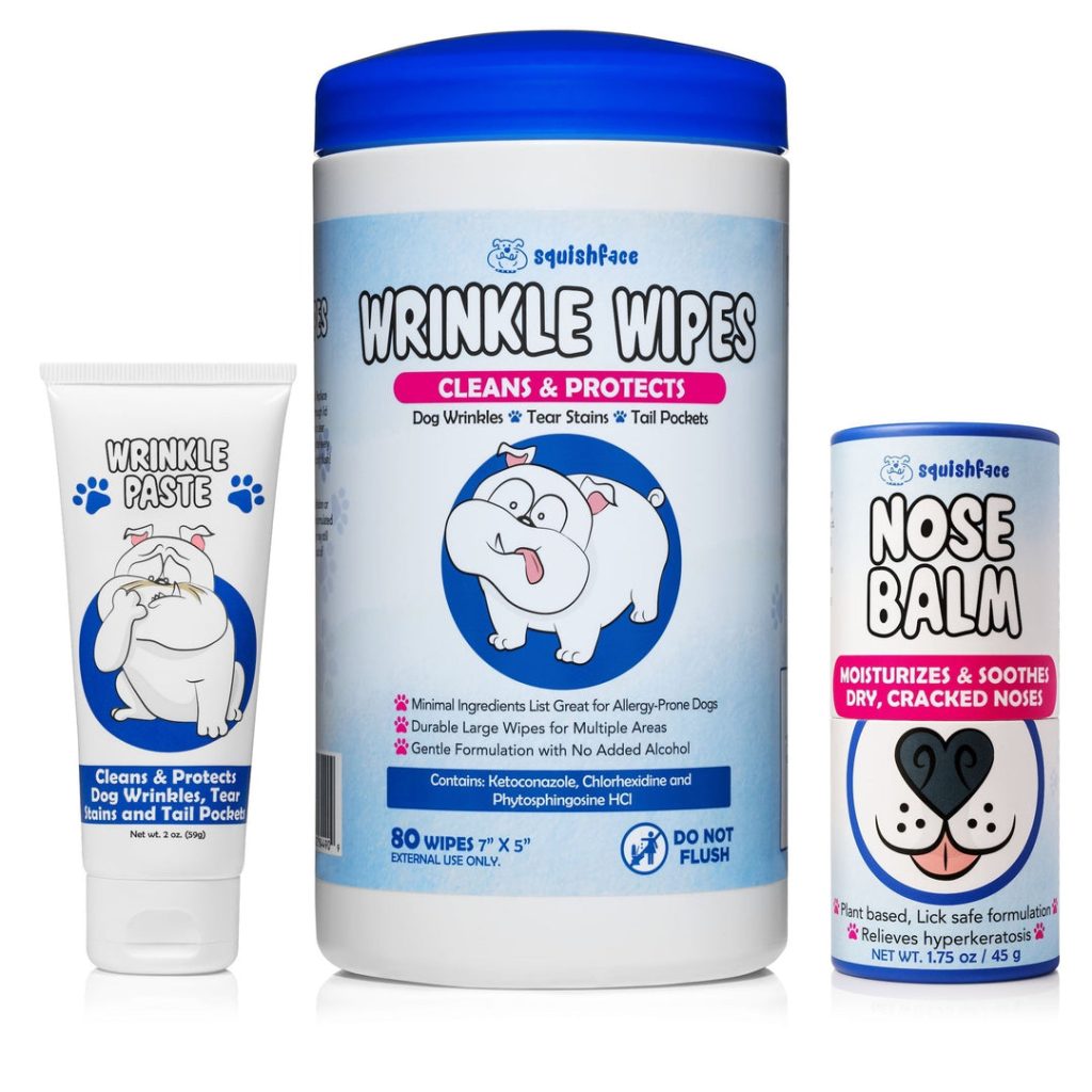 Can You Use Diaper Rash Cream on a Dog? Expert Vet Advice! – buzzlyo