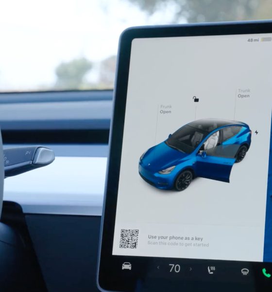 Can You Use Tesla App With Rental