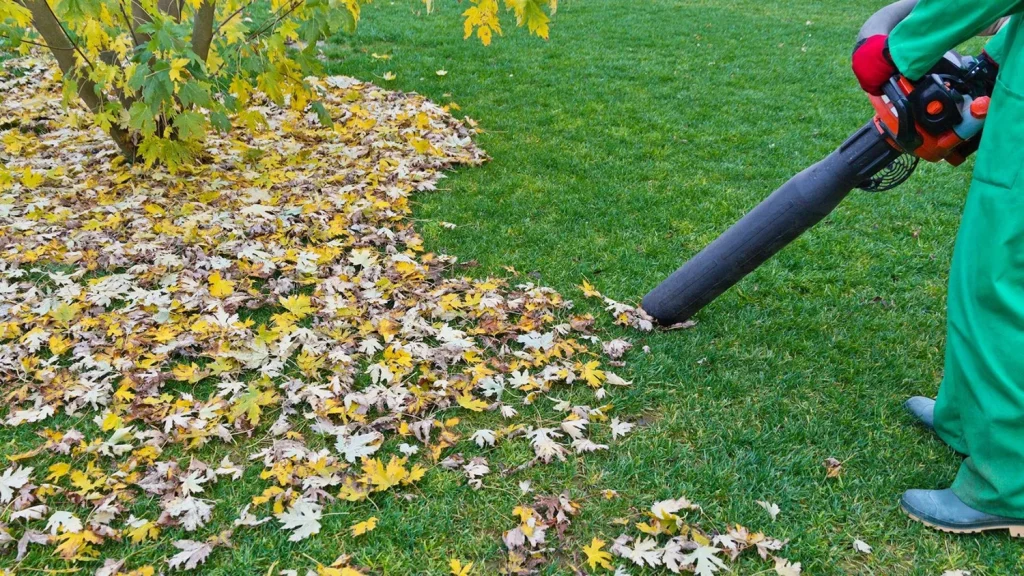 Can You Vacuum Artificial Grass