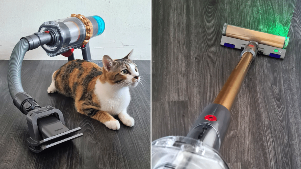 Can You Vacuum Glass With a Dyson