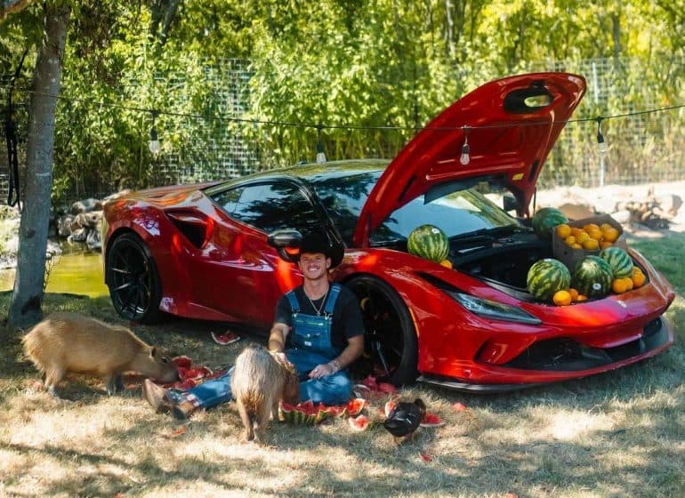 Did Whistlindiesel Get Sued By Ferrari